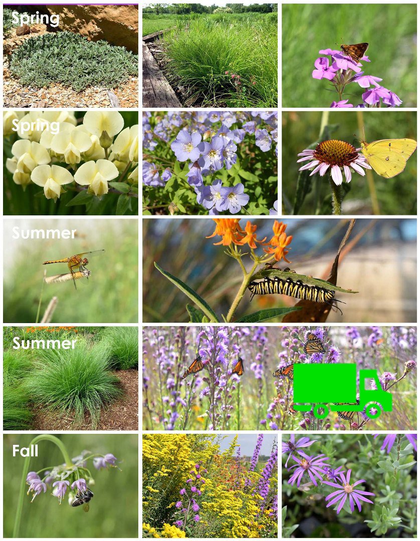 aihana＊garden 出品 Amazon.com : Sproutix Indoor Daisy Garden Starter Kit, 4 Flower